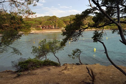 France, Var, Iles d'Hyeres, Parc National de Port Cros (National park of Port Cros), Porquerolles island, Anse du bon Renaud, plage d'Argent (siver beach)