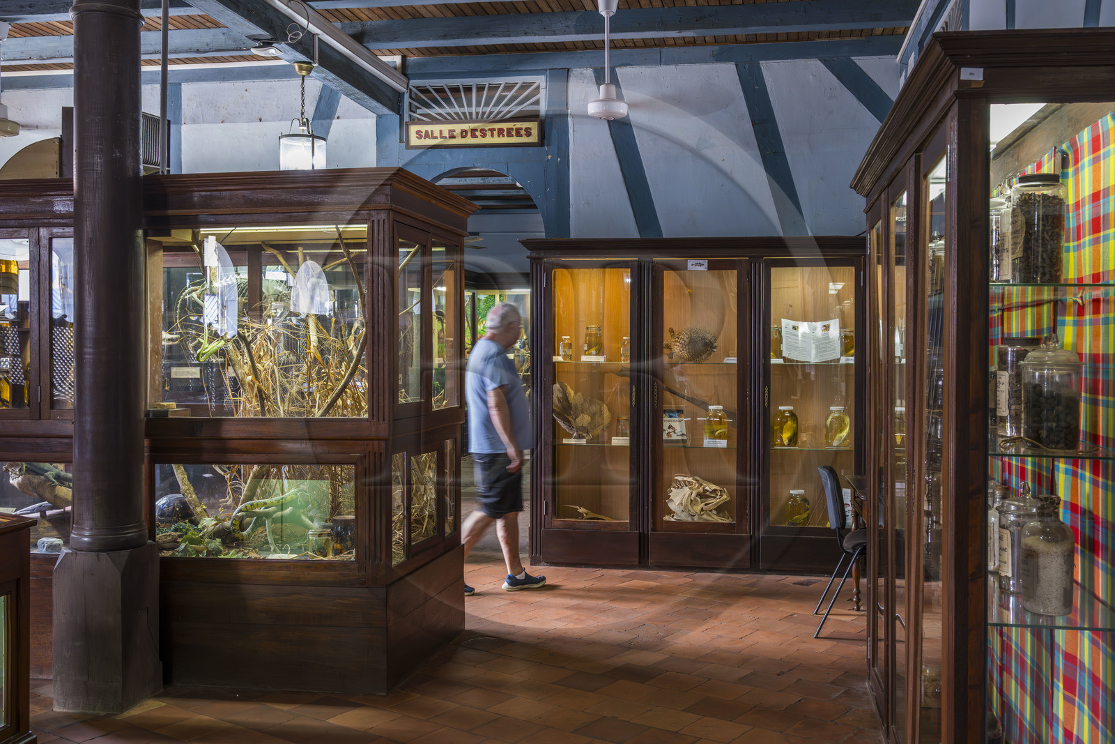 France, French Guiana, Cayenne, Alexandre-Franconie departmental museum