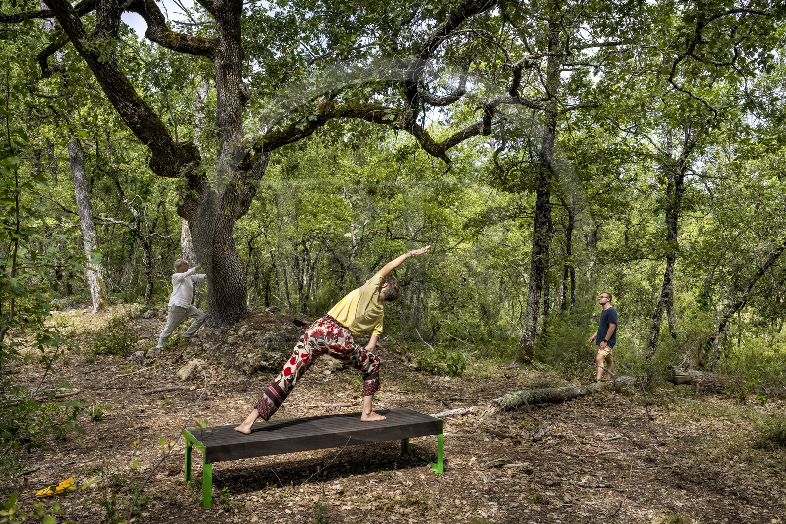 France, Var (83), Provence Verte, Bras, Académie du Bain de Forêt Provençale, forêt du domaine Le Peyrourier - une campagne en Provence, Constanze Coisne guide le Shinrin Yoku