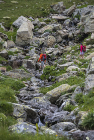 France, Alpes-Maritimes (06), parc national du Mercantour, Haute-Vésubie, Saint-Martin-Vésubie, Val du Haut Boréon, randonneurs traversant une rivière sur le sentier allant au col du Pas des Ladres