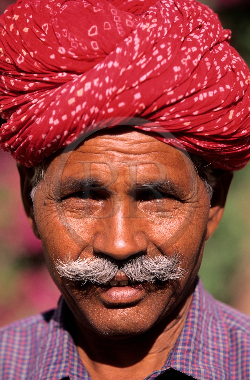 Inde, état du Rajasthan, ville de Pokaran au porte du désert du Thar, un état du Rajasthani typique, moustachu et portant un turban