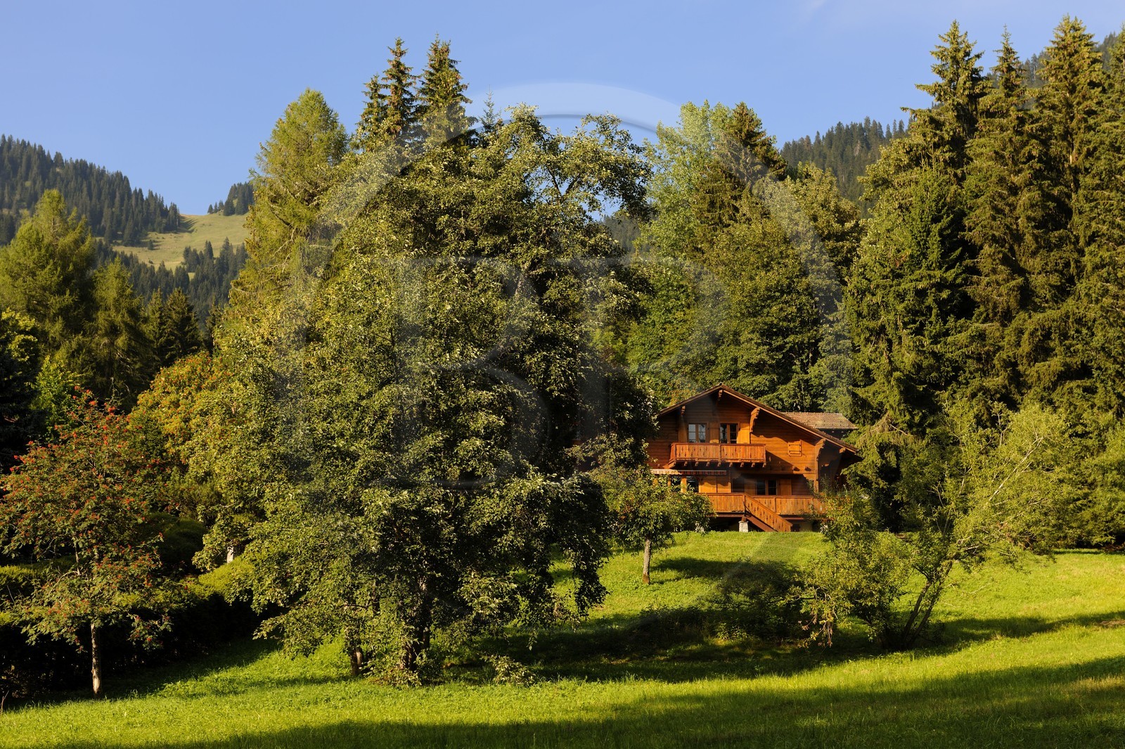 Suisse, Canton de Vaud, Villars sur Ollon