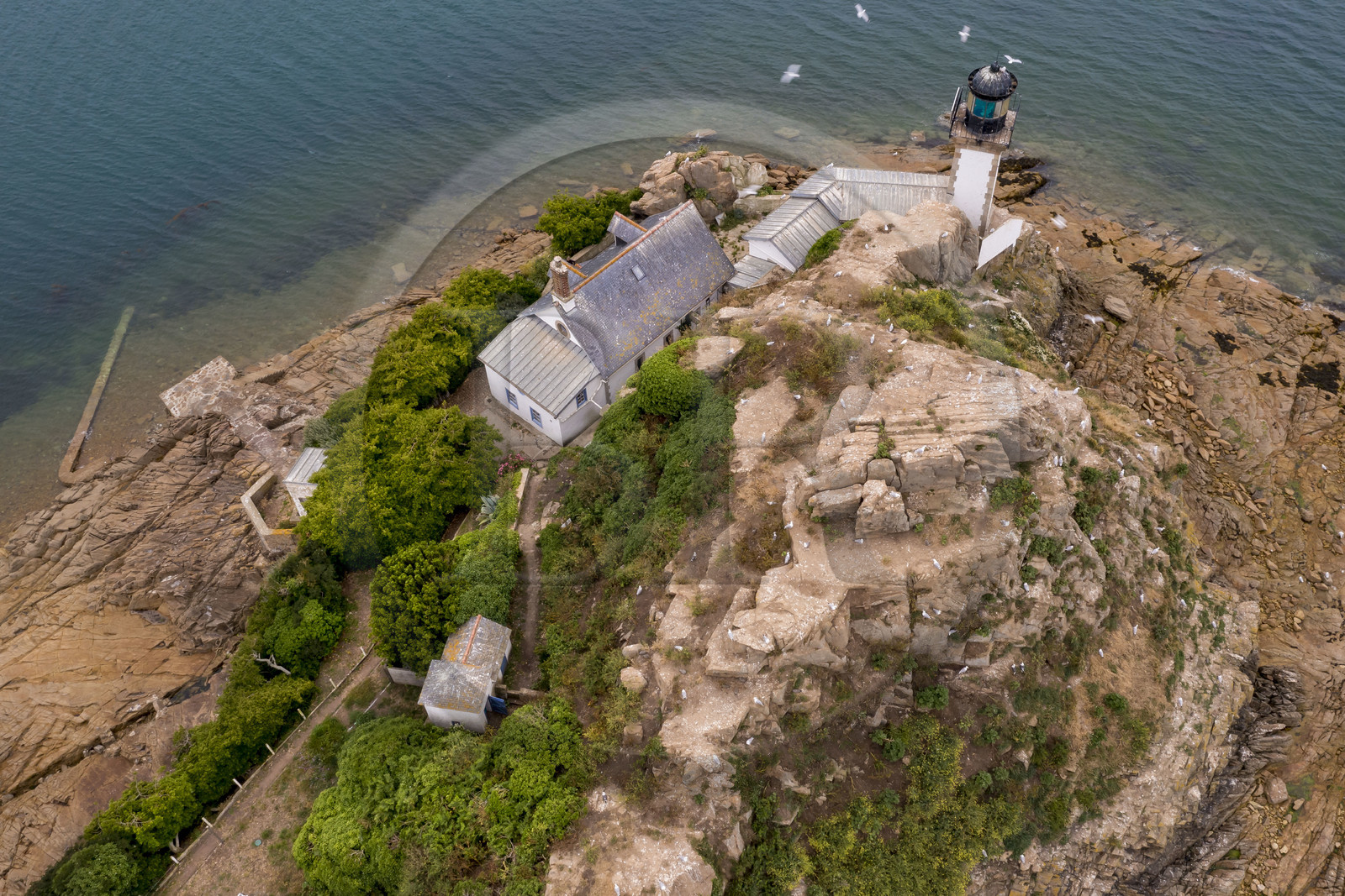France, Finistère (29), Baie de Morlaix, Carantec, l'Ile Louët et son phare (vue aérienne)