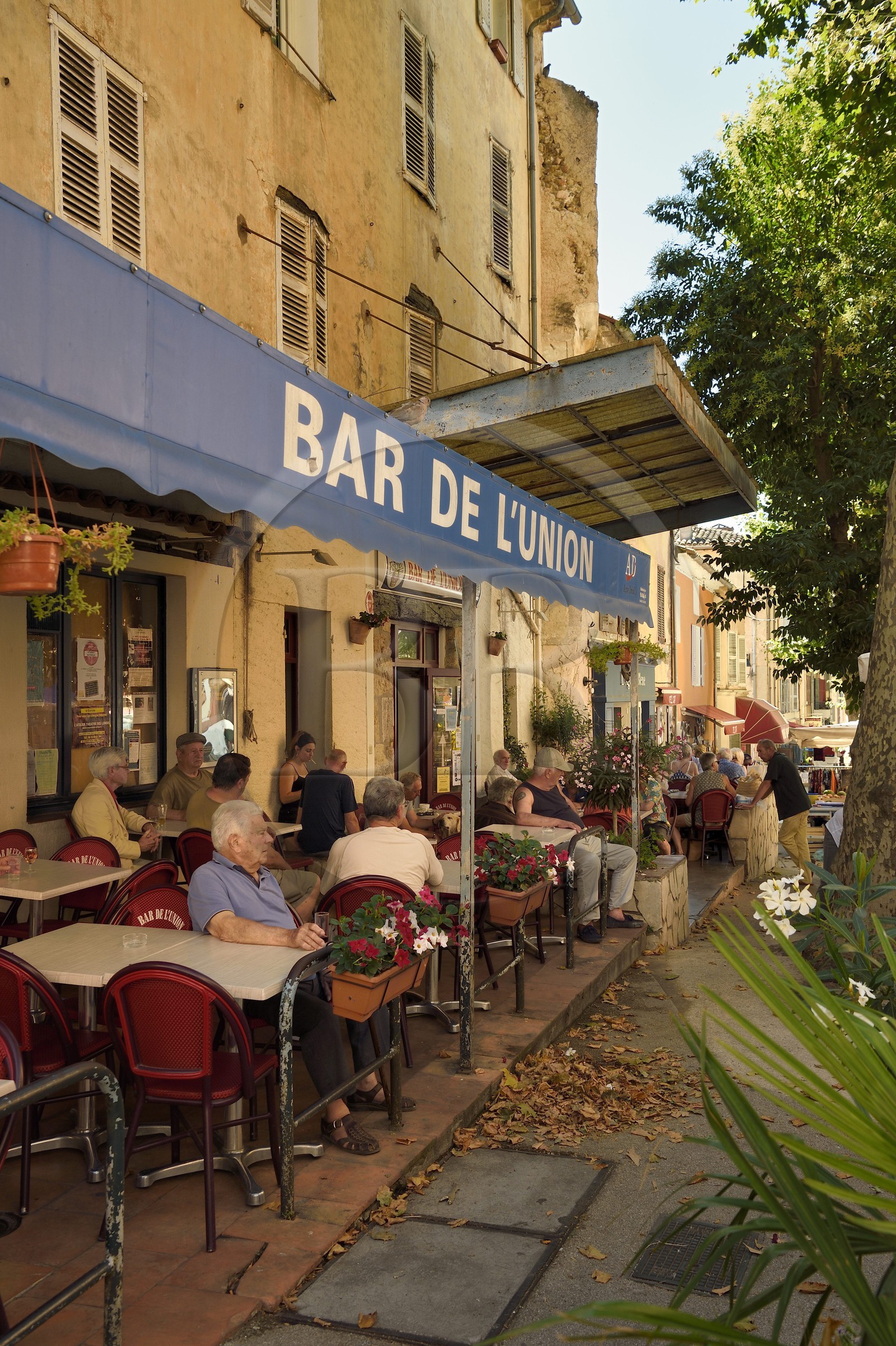 France, Var (83), Provence Verte, Cotignac, cours Gambetta, terrasse de Café