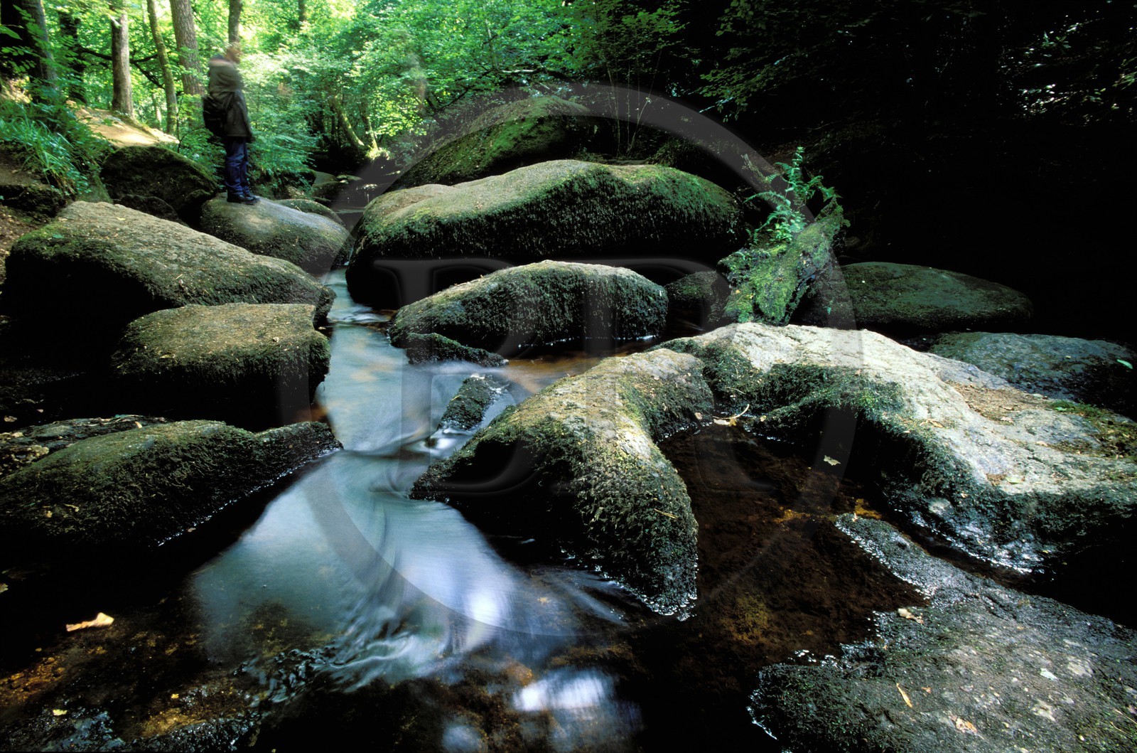 France, Finistère (29), Huelgoat, chaos de rochers, la rivière d'Argent dans la forêt