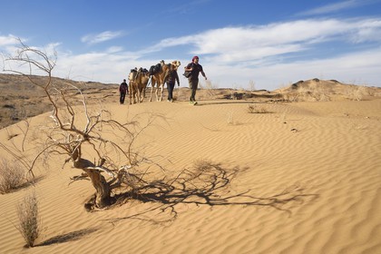 Iran, Province d'Ispahan, désert du Dasht-e Kavir, Mesr dans la région de Khur et Biabanak, randonnée chamelière