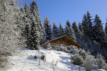 Switzerland, Canton of Vaud, Villars sur Ollon, chalet in the snow