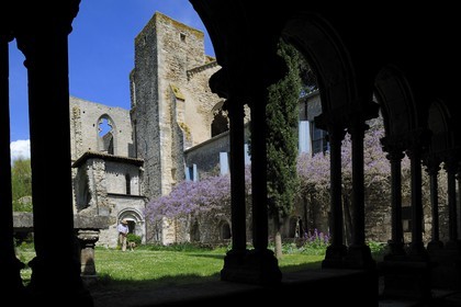 France, Aude (11), Saint-Martin-le-Vieil, ancienne abbaye cistercienne de Villelongue et chambre d'hôte, l'ancienne abbatiale depuis le cloître