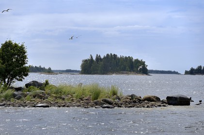 Suède, Comté de Vasterbotten, région d'Umea, Iles de Norrbyskär qui fut une des plus grandes scieries d'Europe au début du XXème siècle