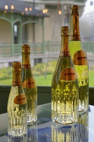 France, Marne (51), Reims, champagne Diamant de Vranken