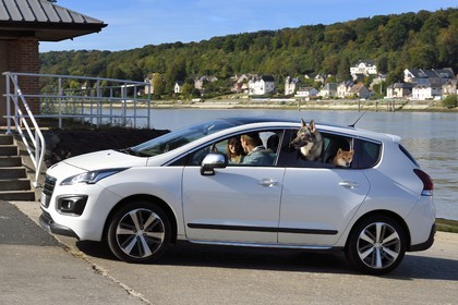 France, Seine-Maritime, Pays de Caux, Norman Seine River Meanders Regional Nature Park, Duclair, the ferry crossing the Seine, voiture avec des chiens comme passagers