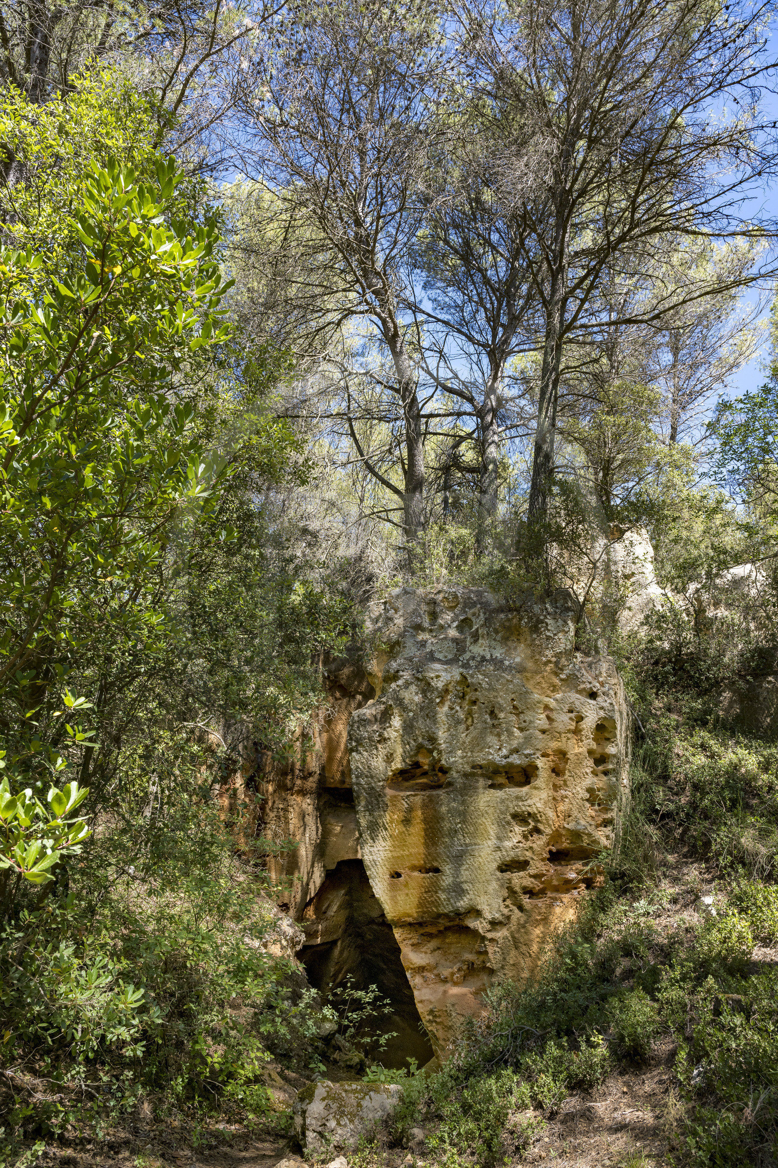 France, Bouches-du-Rhône (13), Aix en Provence, plateau de Bibemus, les carrières de Bibemus qui ont inspirées de nombreuses toiles de Cézanne