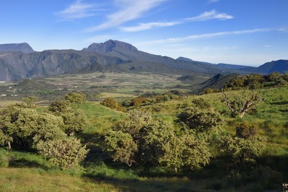 France, Ile de la Reunion, sur les pentes du volcan du Piton de la Fournaise, la Plaine des Cafres et l'ancien volcan du Piton des Neiges en arrière plan