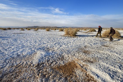 Iran, Province d'Ispahan, désert du Dasht-e Kavir, Khur, désert de sel qui émerge de la terre par capilarité après les pluies