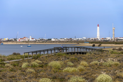 Portugal, Algarve, Parc naturel de la Ria Formosa, Faro, chemin de planches de bois sur l'Ile de Barreta ou Deserta (Ilha da Barretta ou Deserta), le phare de Ilha do Farol sur Ilha da Culatra en arrière plan