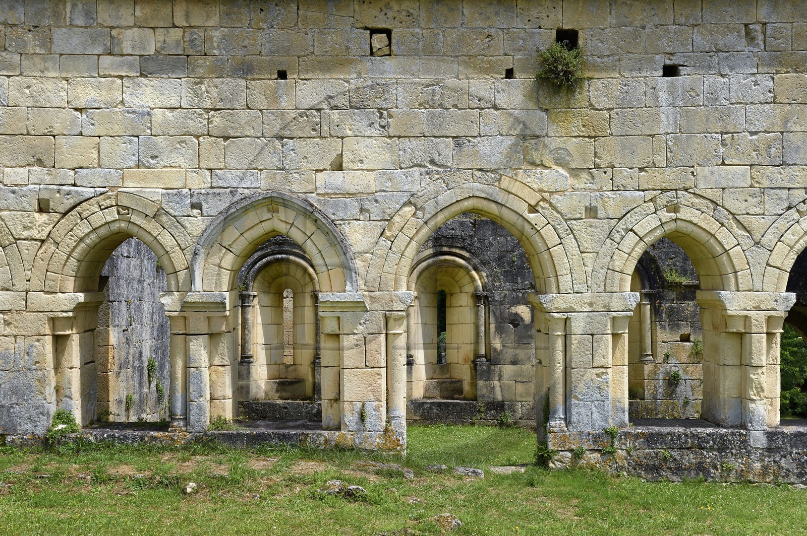 France, Dordogne (24), Périgord Vert, Villars, abbaye cistercienne de Boschaud du 12ème siècle qui dépendait de l'abbaye de Clairvaux, emplacement du cloitre