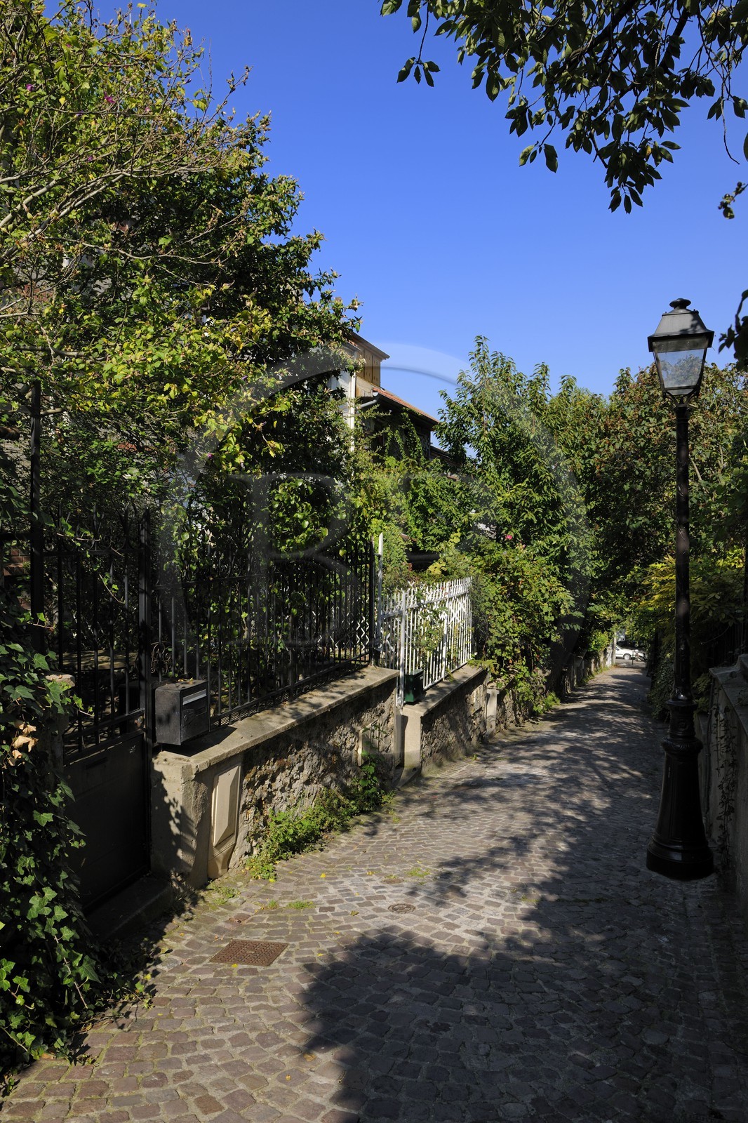 France, Paris (75), 20ème arr, La campagne à Paris du quartier Mouzaïa maisons avec jardins au coeur de la ville, villa Eugène Leblanc