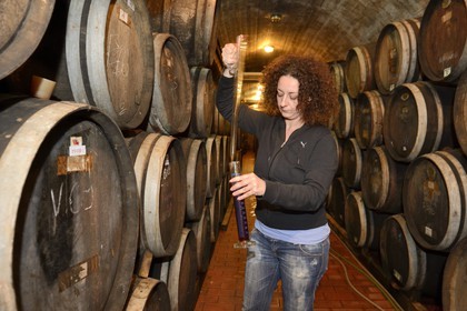Grèce, Les Cyclades, mer Égée, île de Santorin (Thira ou Théra), plaine de Oia, Domaine Sigalas