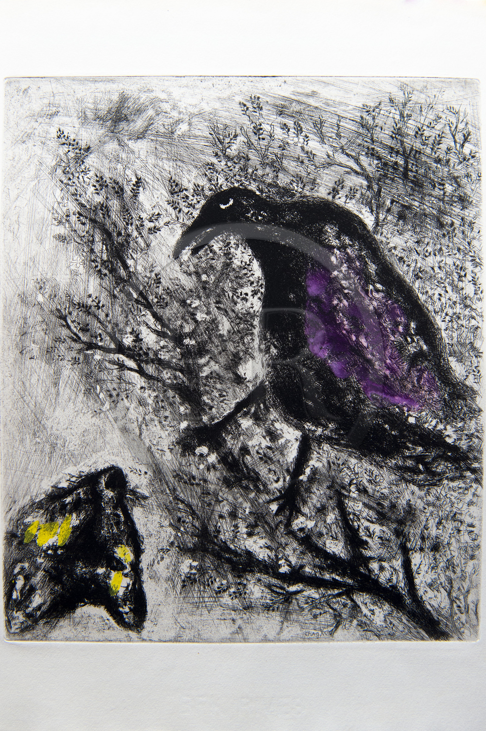 France, Aisne (02), Château-Thierry, Musée Jean de La Fontaine - Ville de Chateau-Thierry, illustrations des Fables de La Fontaine, Le Corbeau et le Renard fable II du livre I, estampes de Marc Chagall, 1927-1930 (gravure sur cuivre), publiées par Tériade en 1952, eau-forte sur papier vélin, rehauts de gouache et d’aquarelle