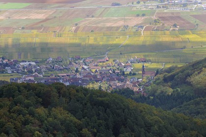 France, Bas-Rhin (67), Orschwiller et son vignoble depuis le château du Haut-Koenigsbourg
