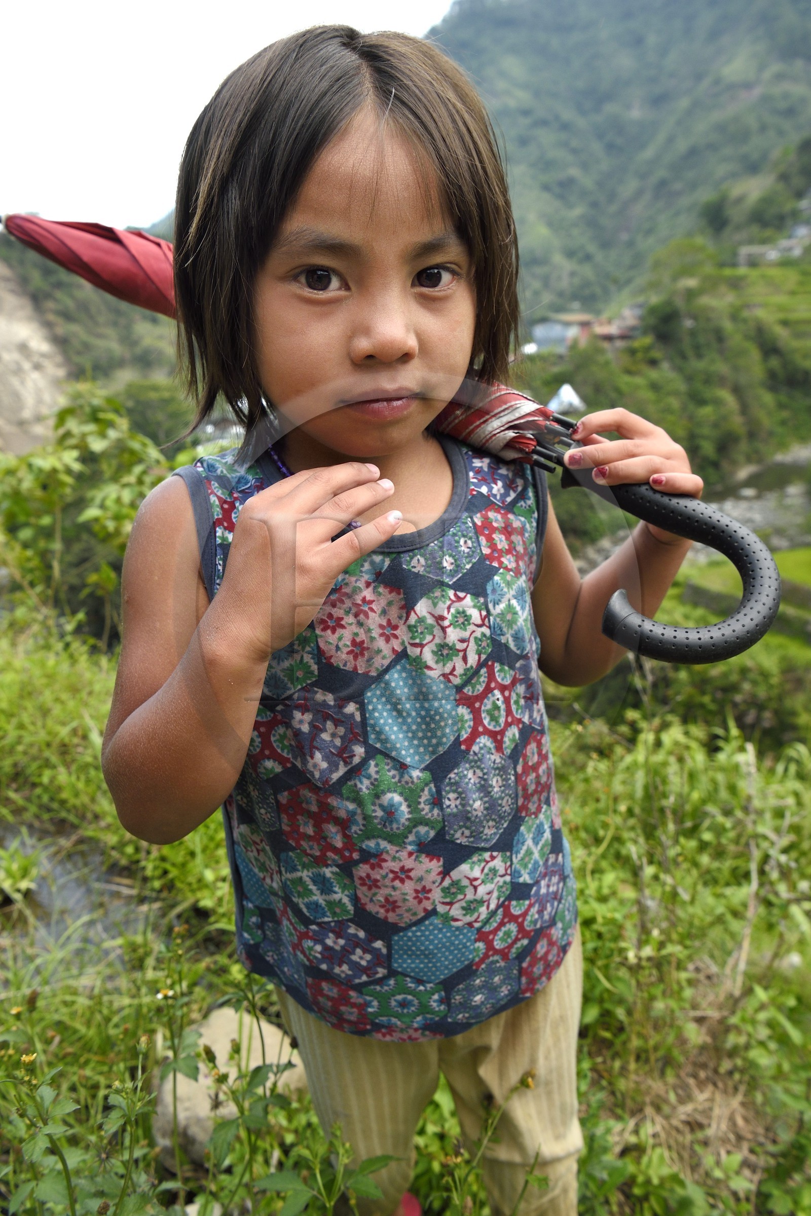 Philippines, Ifugao province, Banaue region, village of Cambulo, little girl with an umbrella