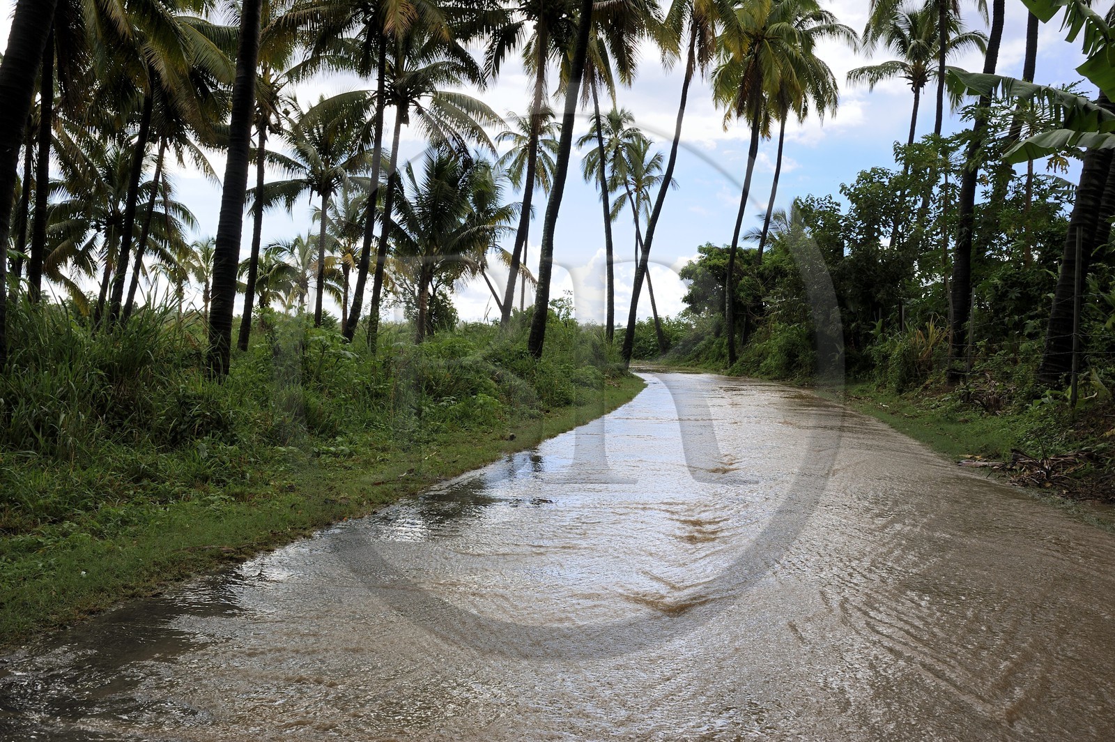 France, île de la Réunion, commune de Saint-Paul, le chemin du Tour des Roches, route inondée due aux fortes pluies tropicales