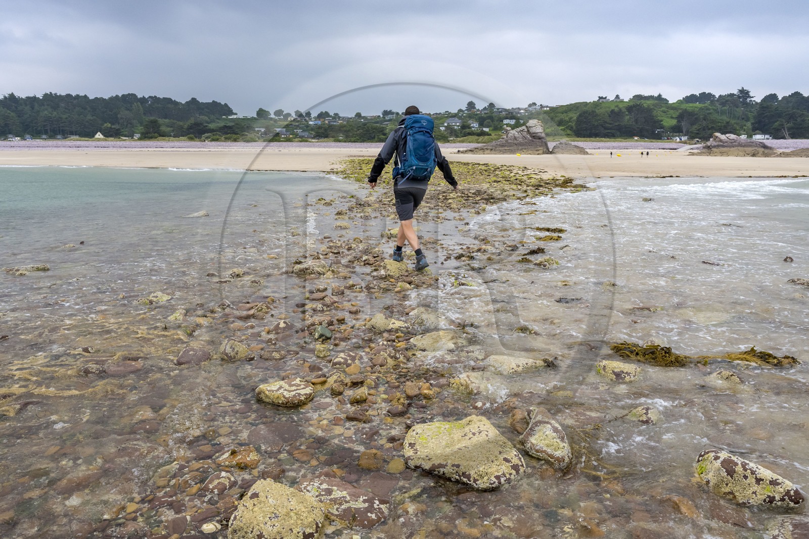 France, Côtes d'Armor (22), Grand Site de France Cap d'Erquy – Cap Fréhel, Erquy, l'Ilot Saint-Michel est accessible à pied à marée basse, passage du tombolo à marée montante