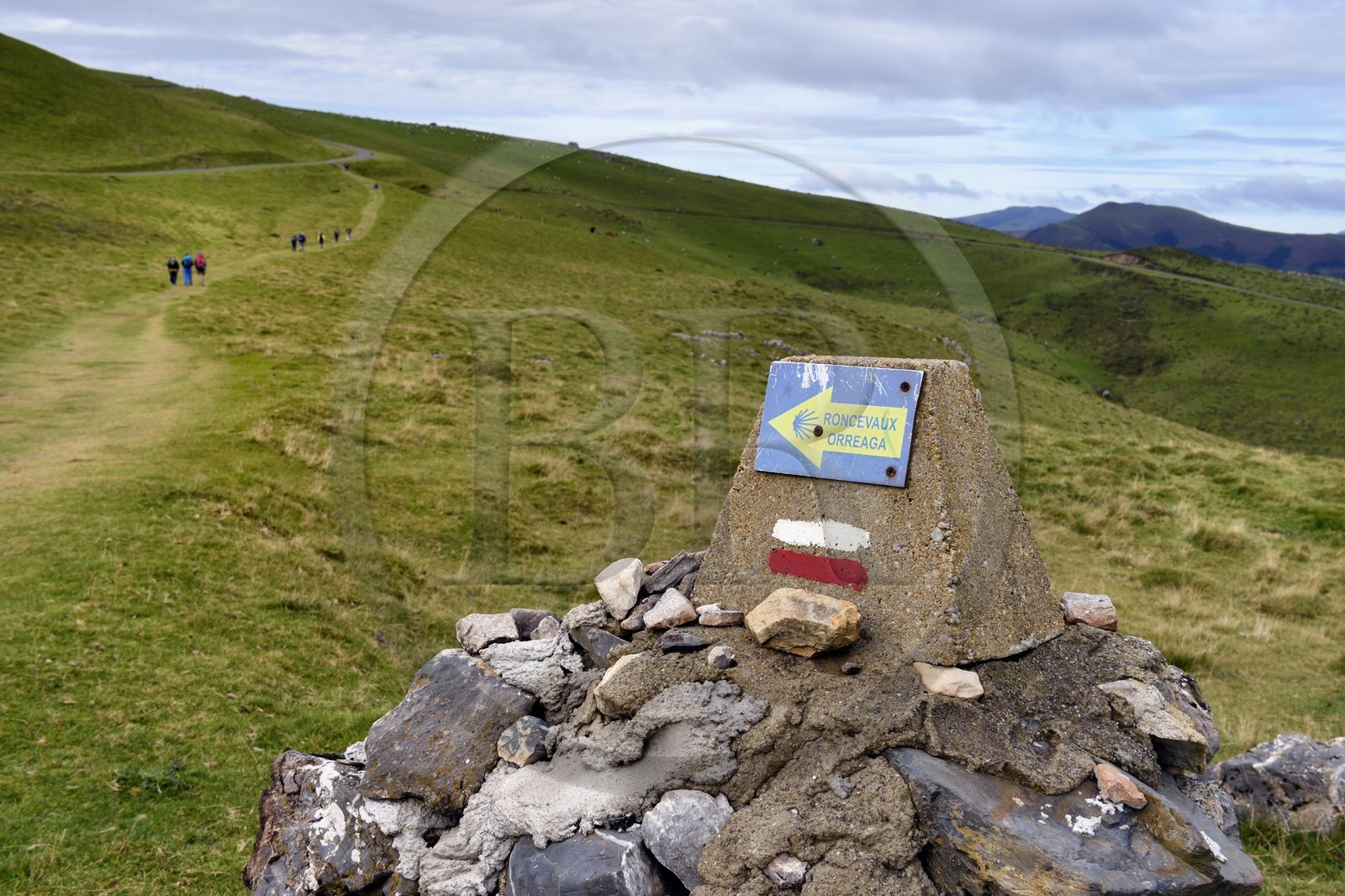 France, Pyrénées-Atlantiques (64), Pays-Basque, chemin de Saint-Jacques de Compostelle, marque du sentier de randonnée du GR 65 sur la montagne Urculu entre Saint-Jean-Pied-de-Port et Roncevaux, panneau de direction pour Roncevaux en français et basque