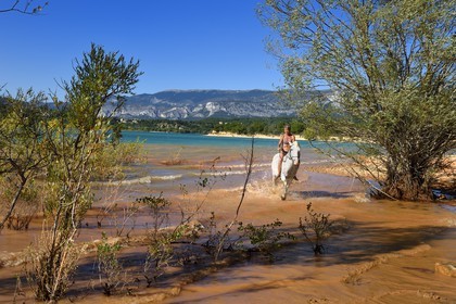 France, Var (83), Parc Naturel Régional du Verdon, lac de Sainte Croix, randonnée équestre avec Verdon Equitation