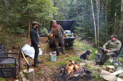 France, Haut Rhin, Thannenkirch, Taennchel massif, temporary camp of three communal lumberjacks present to replant Douglas firs around the Rocher des Geants
