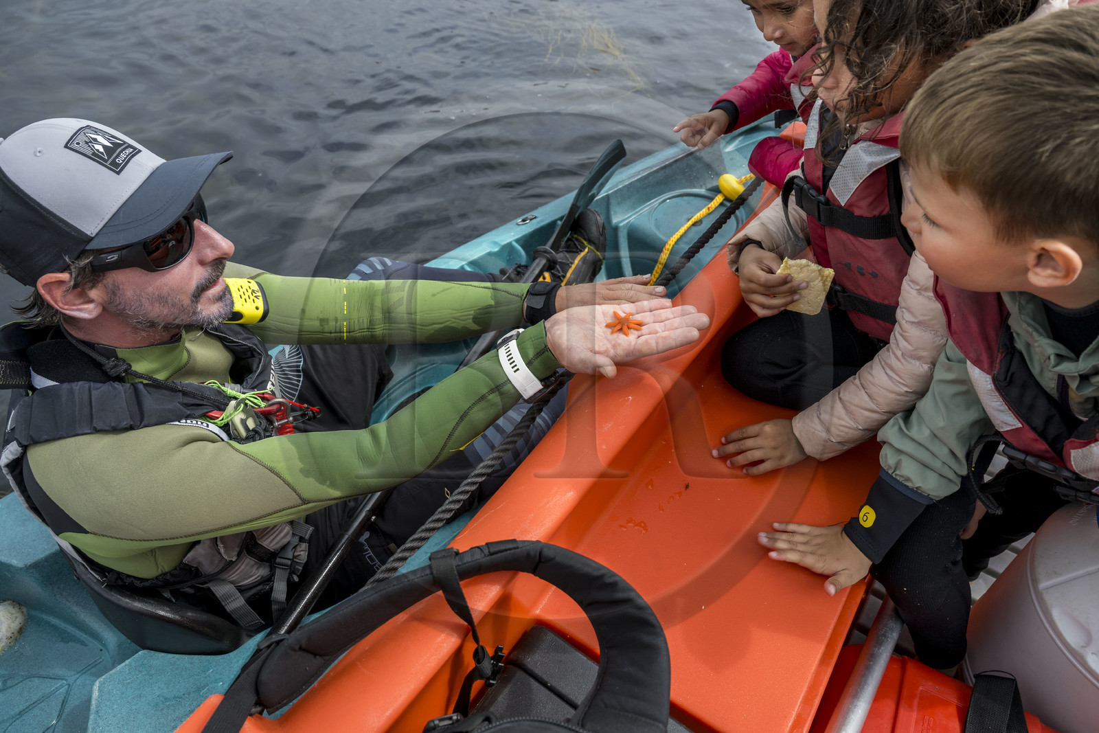 France, Finistère (29), Penmarch, archipel des Étocs, des enfants découvre une étoile de mer