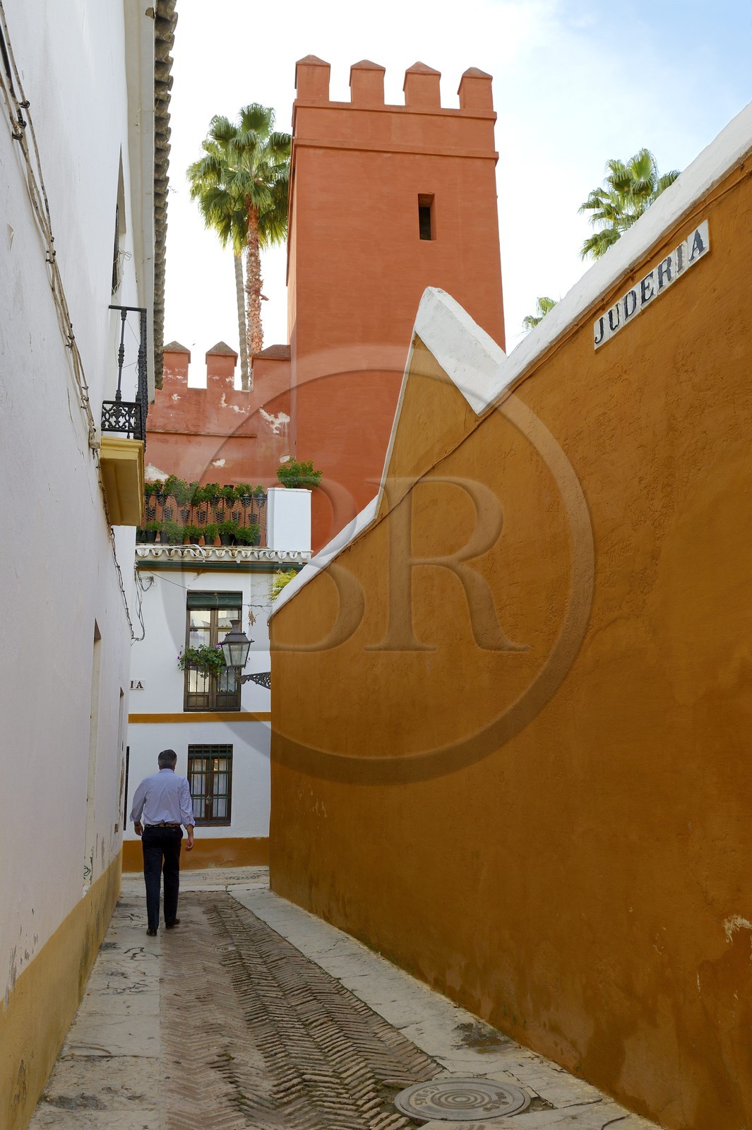 Espagne, Andalousie, Séville, quartier de Santa Cruz, la Juderia en bordure de l'Alcazar
