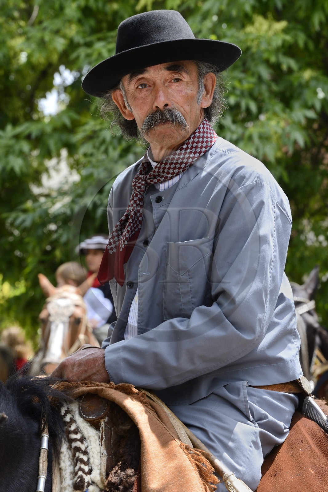 Argentine, province de Buenos Aires, San Antonio de Areco, gaucho à la fête du Jour de la Tradition (Dia de la Tradicion)
