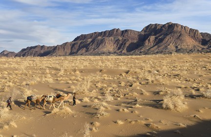 Iran, Province d'Ispahan, désert du Dasht-e Kavir, Mesr dans la région de Khur et Biabanak, caravane de dromadaires lors d'une randonnée chamelière au pied de la chaine de montagne de Dareh bidan