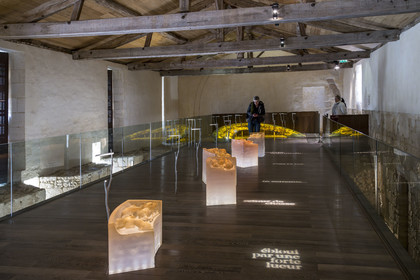 France, Vendée (85), Nieul-sur-l'Autise, Abbaye royale Saint-Vincent, salle des chapiteaux, reproduction des chapiteaux en résine translucide