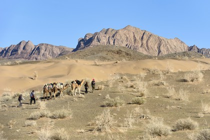 Iran, Province d'Ispahan, désert du Dasht-e Kavir, Mesr dans la région de Khur et Biabanak, caravane de dromadaires lors d'une randonnée chamelière
