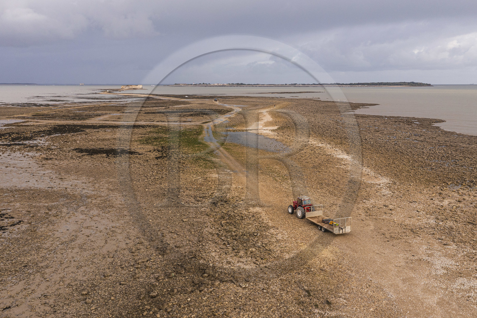 France, Charente-Maritime (17), Fouras, tracteur dans les parcs à huitres, ostreiculteur récoltant des poches à la Pointe de la Fumée à marée basse, le Fort Enet et l'Ile d'Aix en arrière plan (vue aérienne)