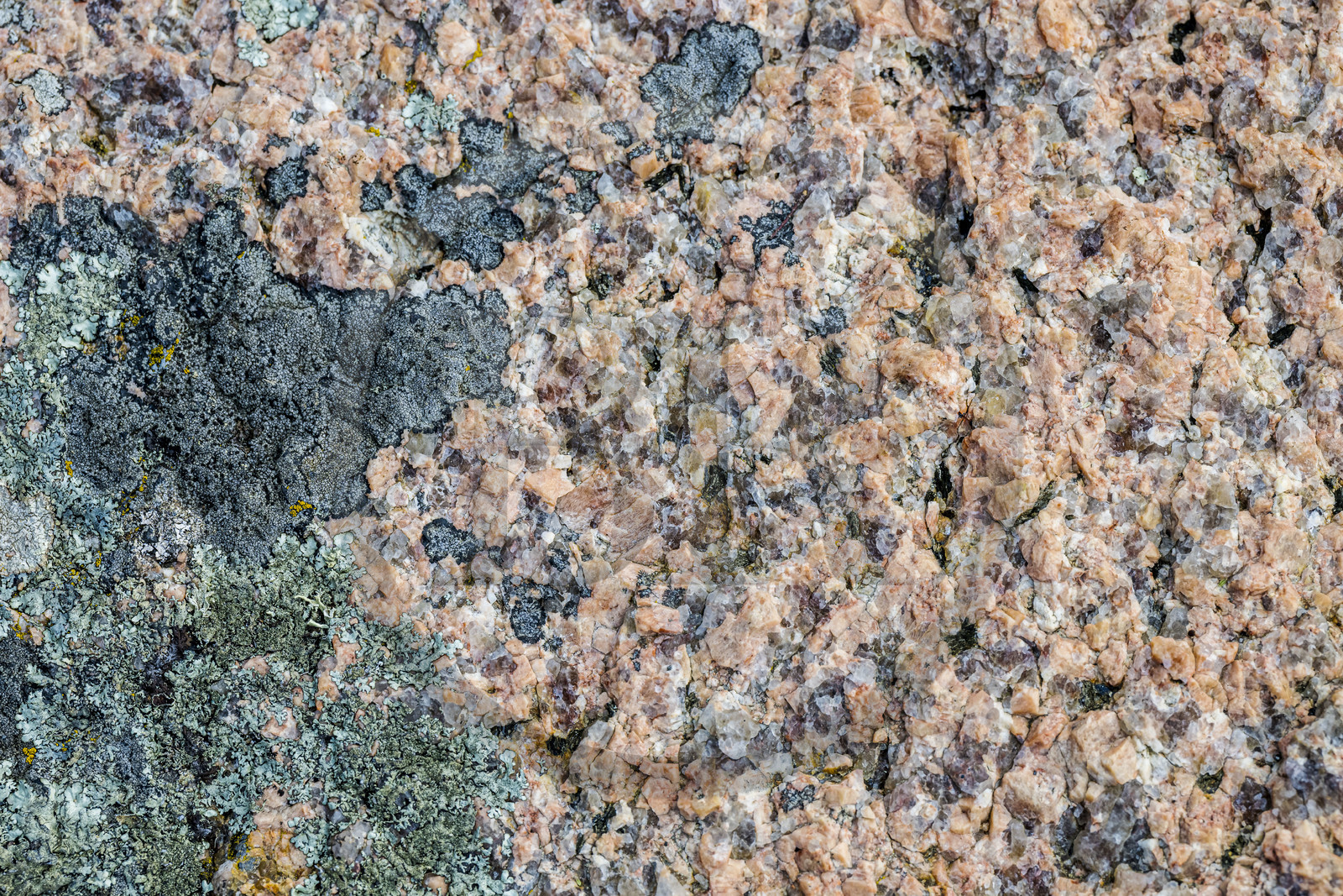 France, Côtes-d'Armor (22), Côte de Granit Rose, Trébeurden, Ile Millau, échantillon de granit à gros grain qui se compose de quartz, de mica et de feldspath qui donne la couleur rose