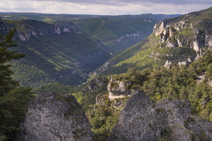 France, Aveyron (12), Causses et les Cévennes, paysage culturel de l'agro-pastoralisme méditerranéen, classés Patrimoine Mondial de l'UNESCO, Causse Noir, La Roque-Sainte-Marguerite, chaos de Montpellier-le-Vieux, la Cité de Pierres