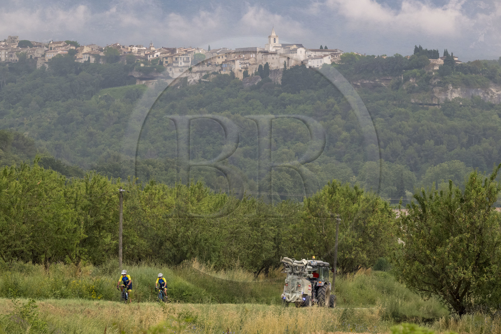 France, Vaucluse, Venasque, almond cultivation by the Silvain Brothers, nougat farmers, almond field, road bikers and the village of Venasque in the background