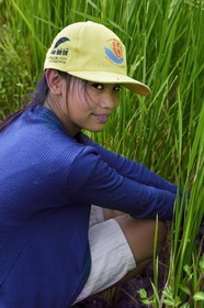 Philippines, province d'Ifugao, les rizières en terrasses de Banaue autour du village de Cambulo, classées Patrimoine Mondial de l'UNESCO, Jessen 14 ans qui travaille aux champs