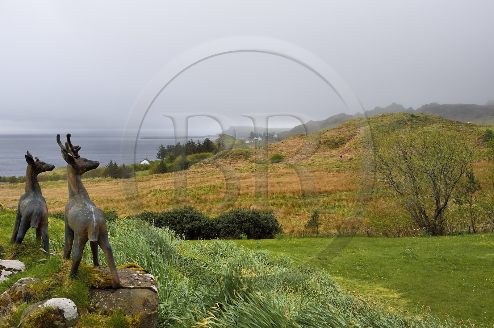 Royaume-Uni, Ecosse, région des Highlands, les Hébrides, Ile de Skye, Flodigarry, la cote depuis le Flodigarry Hotel et pub