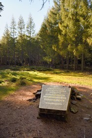 France, Bas-Rhin (67), Ottrott, Mont Sainte-Odile, plaque commémorative sur le site du crash de l'Airbus A320 le 20 janvier 1992 faisant 87 morts sur les hauteurs de La Bloss