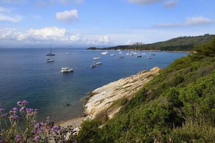 France, Var, Iles d'Hyeres, Parc National de Port Cros (National park of Port Cros), Porquerolles island, La Courtade beach