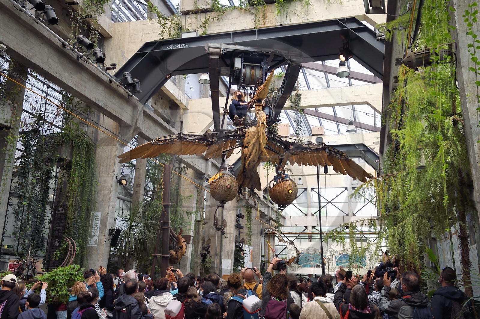 France, Loire-Atlantique, Nantes, gallery of the Machines de l'Ile in the hangars of former shipyards, an artistic project created by François Delaroziere and Pierre Orefice, the Mechanical Heron in flight