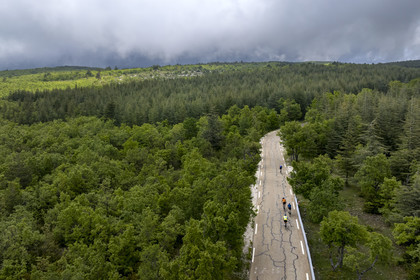 France, Vaucluse, Parc Naturel Regional du Mont Ventoux, Bedoin, bike ascent of Mont Ventoux by the D974 road on the southern slope, road through a thick oak forest and hooked pins (aerial view)