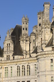 France, Loir et Cher (41), Vallée de la Loire classée Patrimoine Mondial de l' UNESCO, château de Chambord