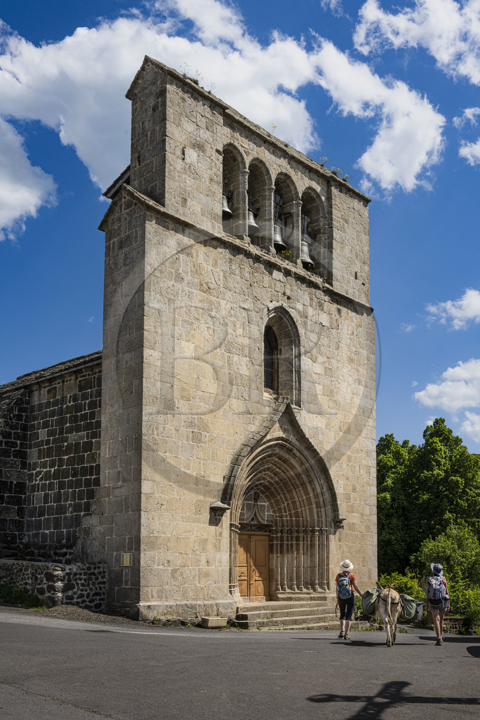France, Haute-Loire (43), Saint-Martin-de-Fugères, randonnée avec un âne sur le chemin de Stevenson (GR 70) devant l'église de la Nativité de la Sainte-Vierge