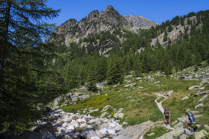 France, Alpes-Maritimes (06), parc national du Mercantour, Haute-Vésubie, Saint-Martin-Vésubie, Val du Haut Boréon, randonneurs en marche pour le refuge de Cougourde, le Mont Pelago en arrière-plan