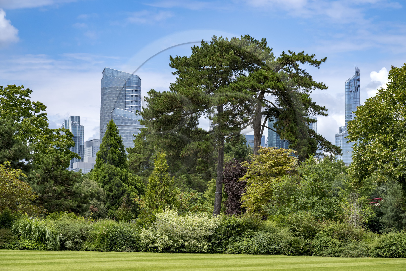 France, Paris (75), les immeubles de la Défense depuis le Bois de Boulogne